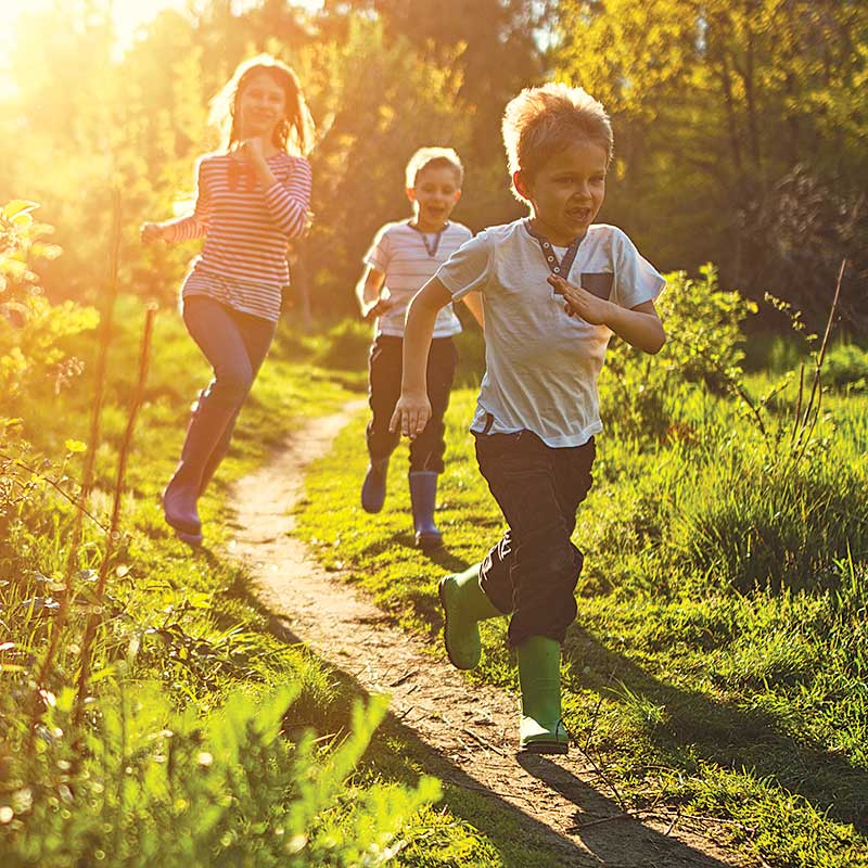 Walking and Biking Trails